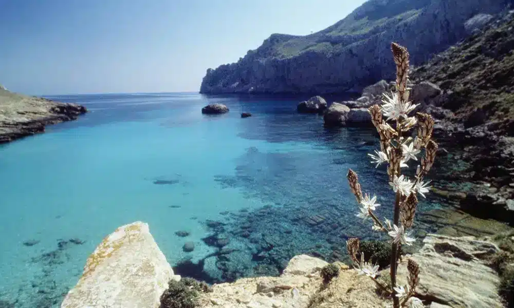 alquiler de apartamento en mallorca - penthousebressol