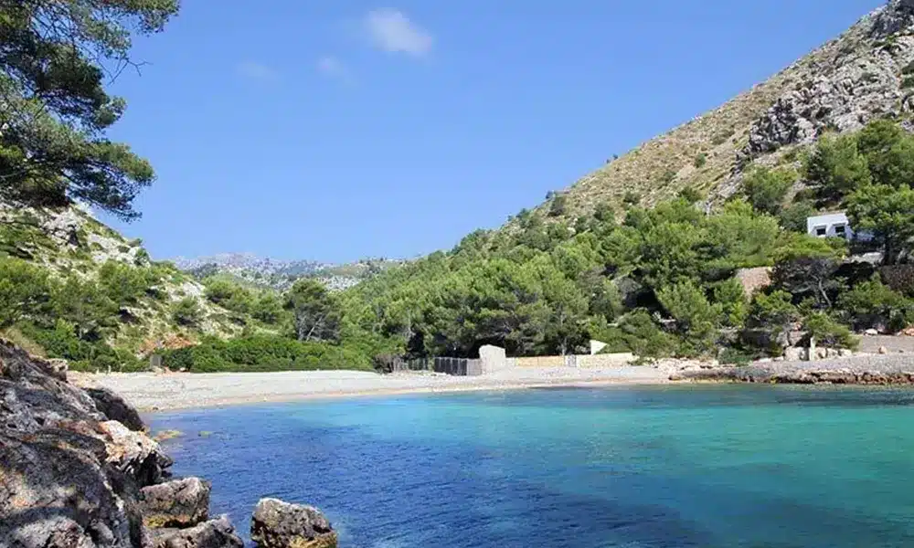 alquiler de apartamento en mallorca - penthousebressol