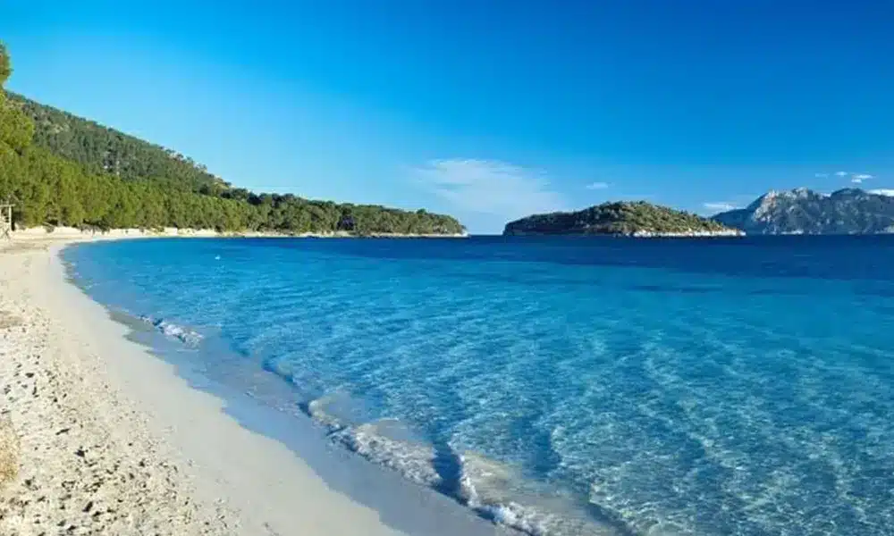 alquiler de apartamento en mallorca - penthousebressol